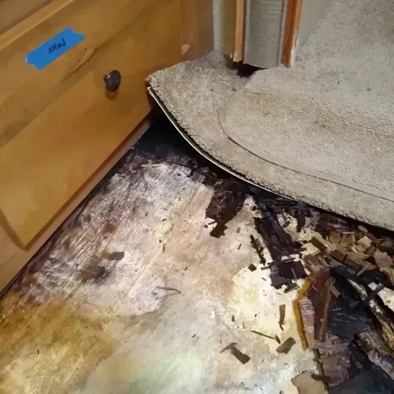 Best Wood Floor Water Damage Service in Viera East, FL